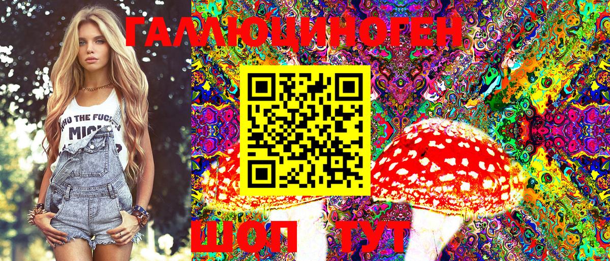 Галлюциногенные грибы Magic Shrooms  Галлюциногенные грибы Psilocybine cubensis  Будённовск  Вход с VPN 