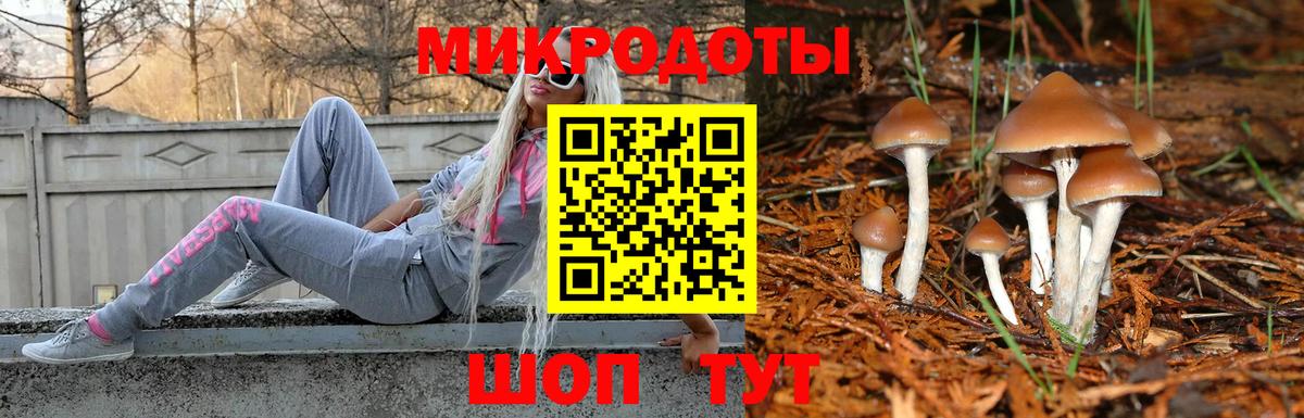 Галлюциногенные грибы GOLDEN TEACHER Будённовск